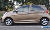 picanto-35