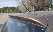picanto-77
