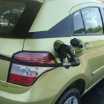 agile-150