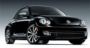 Beetle Black Beetle Black