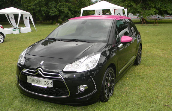 ds3-fucsia-2