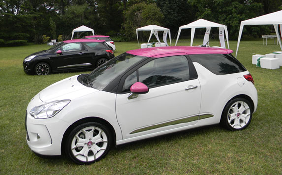 ds3-fucsia-3