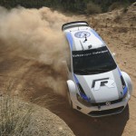 polo-wrc-3