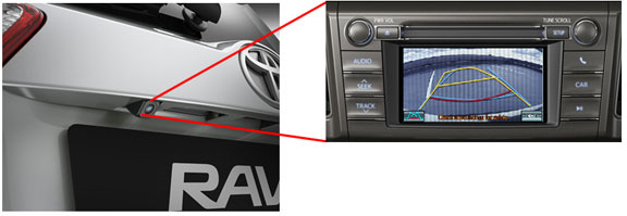 Rav490