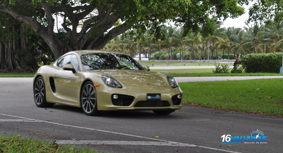 cayman16