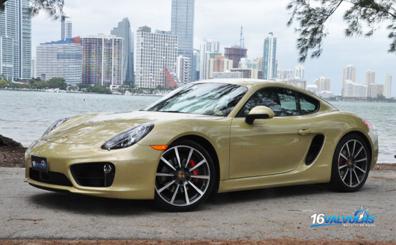 cayman2