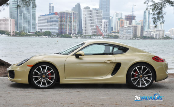 cayman3