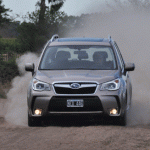 forester65