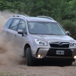 forester67