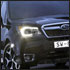 forester100