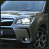 forester102