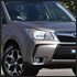 forester104