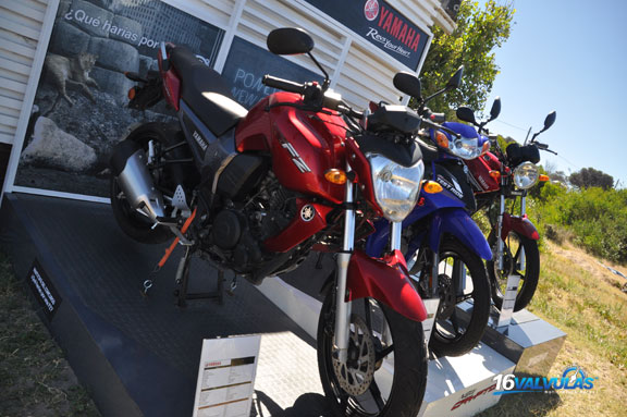 yamaha5
