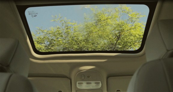 fluence24