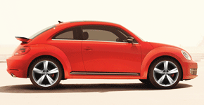 beetle3