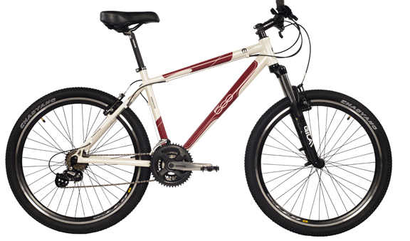bici