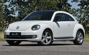 beetle1