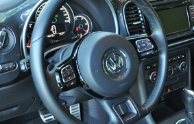 beetle12