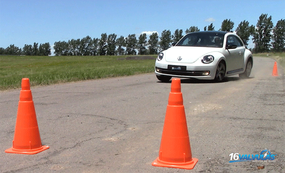beetle15