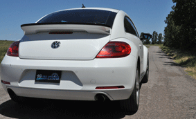 beetle21