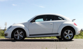 beetle23