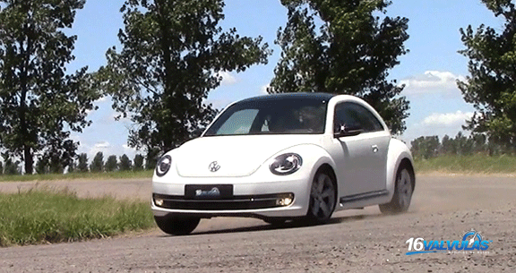 beetle27