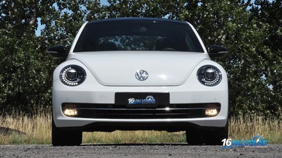beetle3