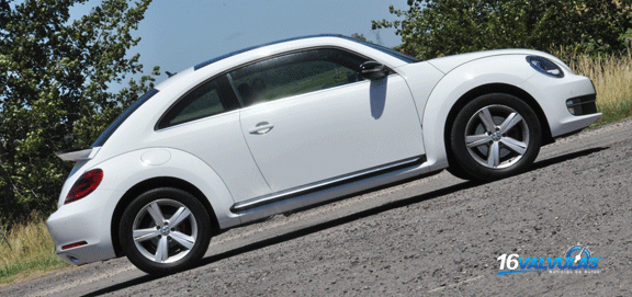 beetle5