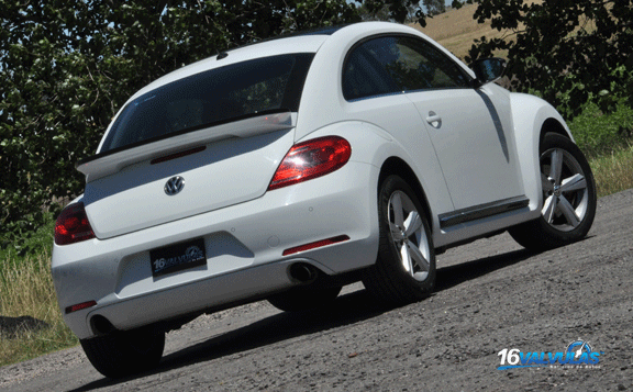 beetle6