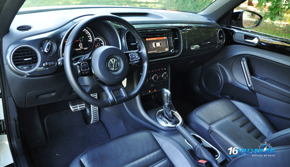 beetle7