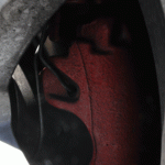 beetle33.gif