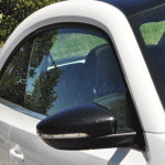 beetle35.gif