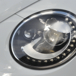 beetle36.gif