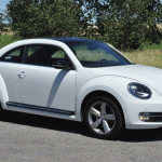 beetle37.gif