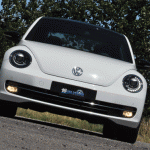 beetle38.gif
