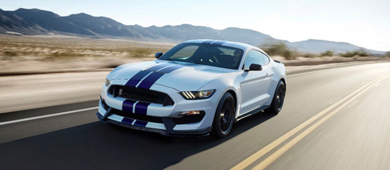 Mustang shelby