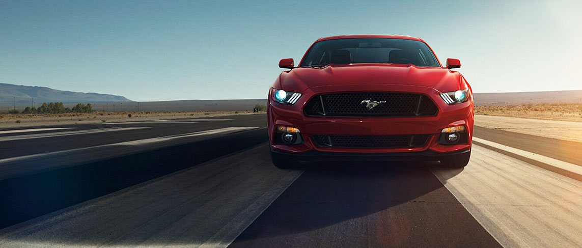 mustang1