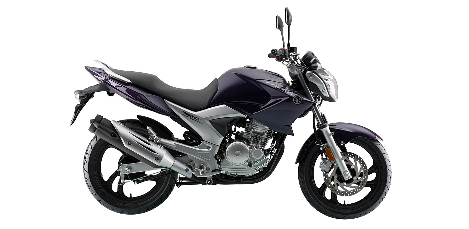  Yamaha  Motor  Argentina relanz  su modelo YS 250  FAZER 16 