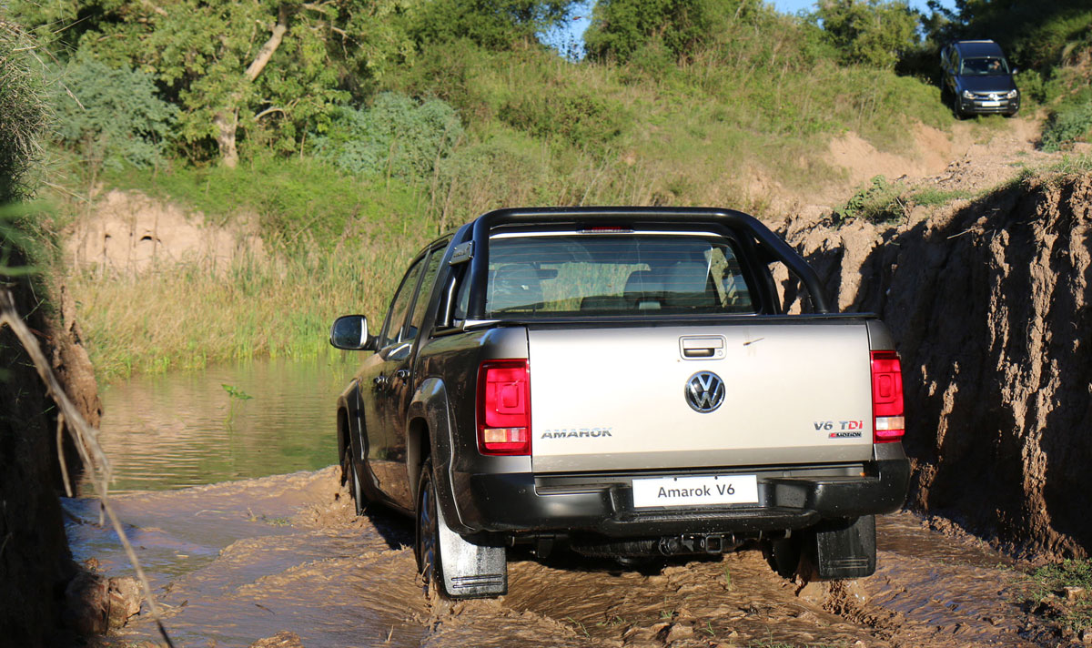 amarok v6