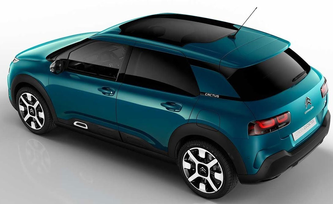 nuevo c4 cactus