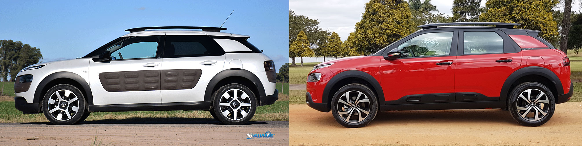 nuevo Citroen C4 Cactus