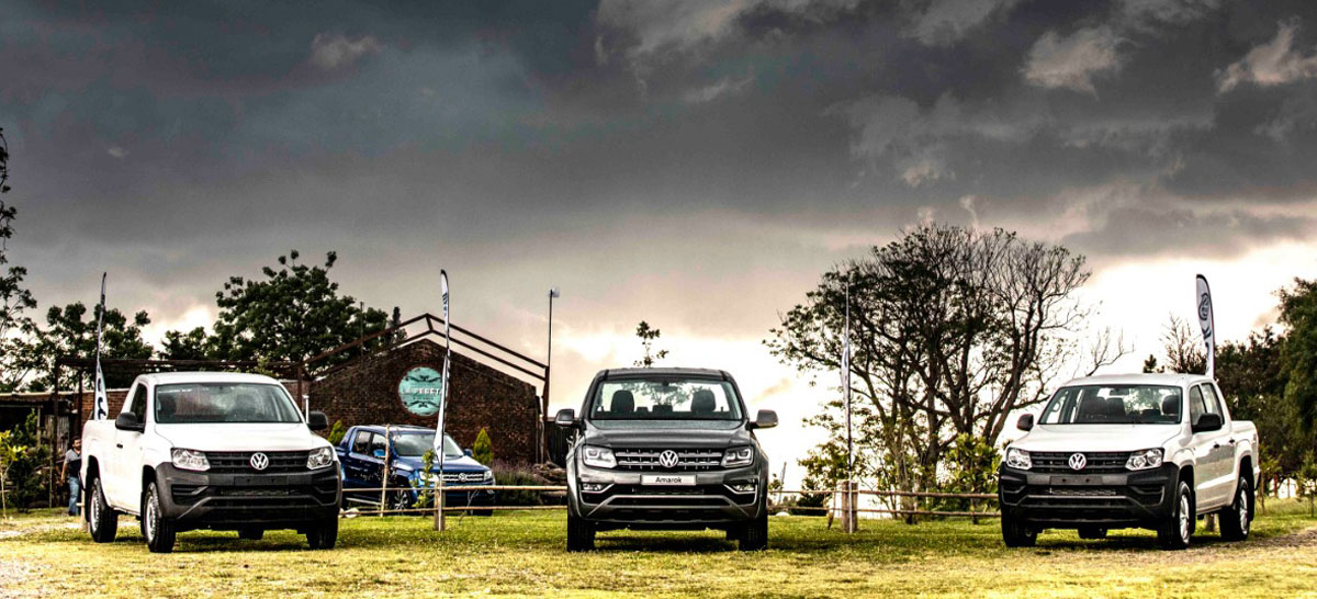 gamma amarok