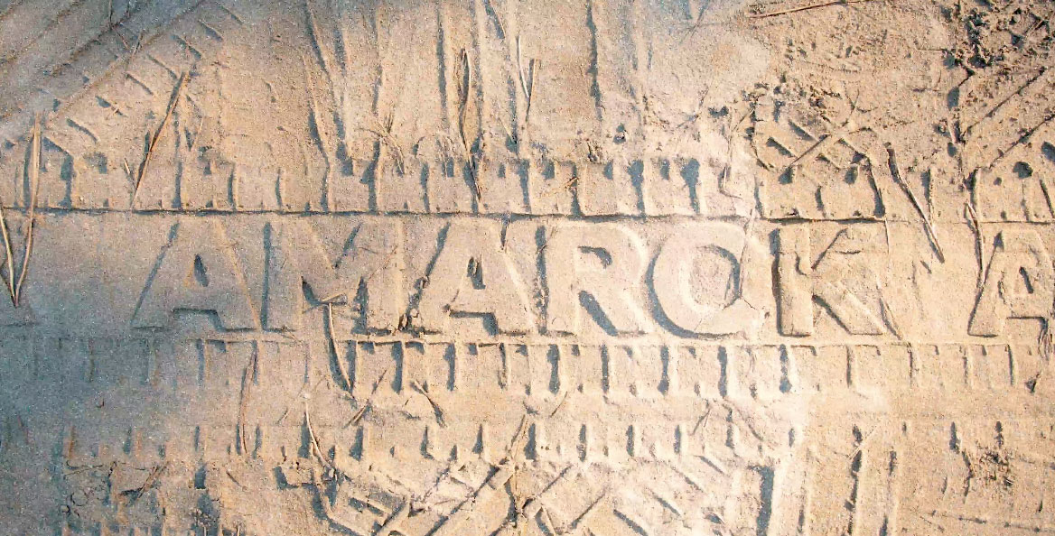 volkswagen amarok sello