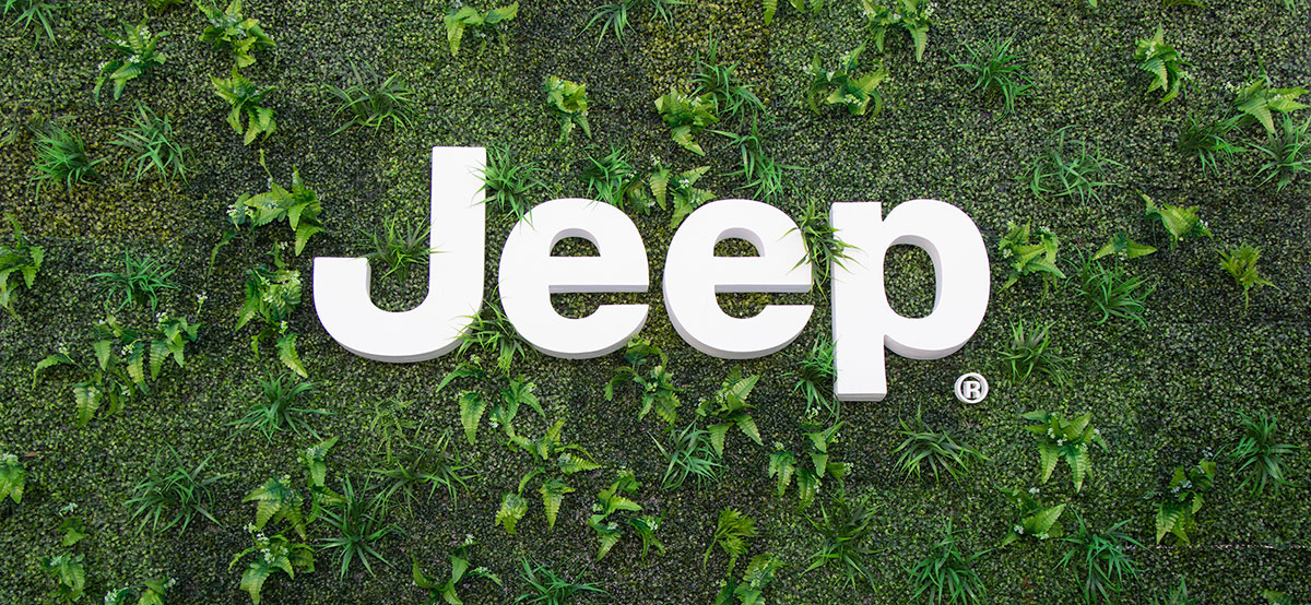 jeep rural