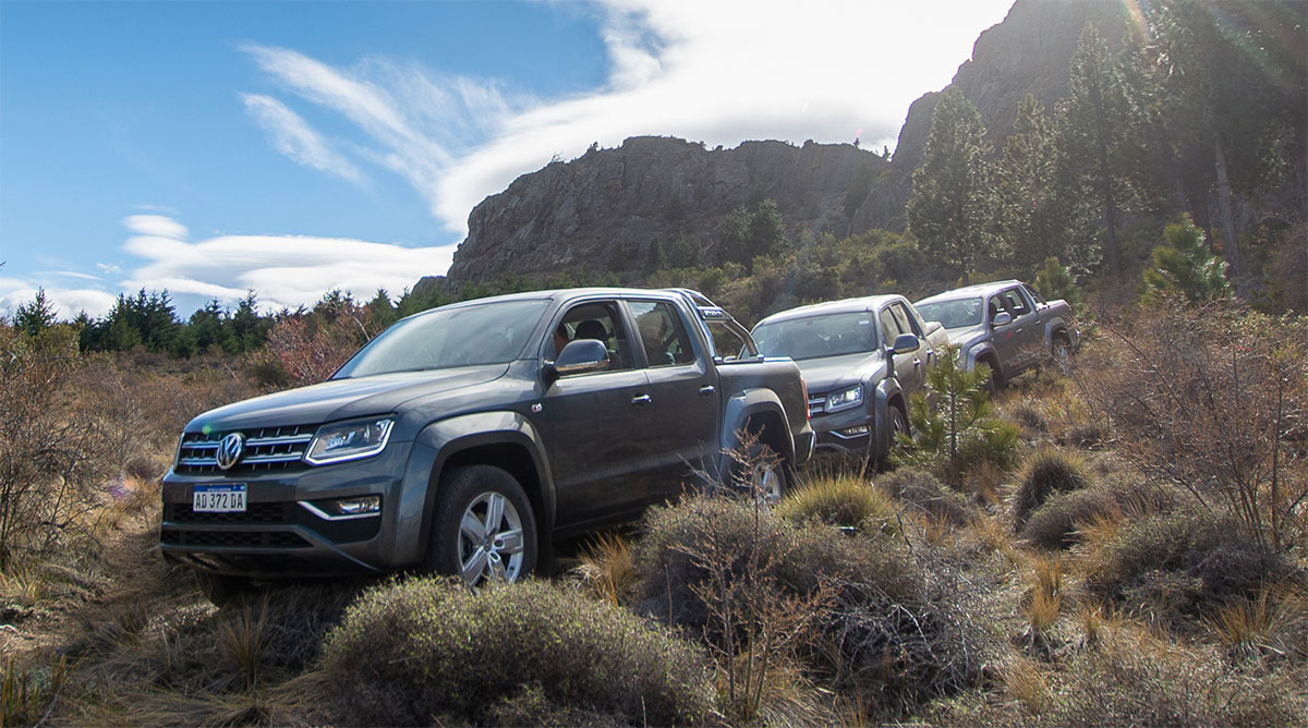 amarok experto