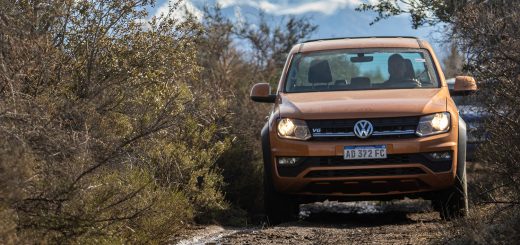 amarok experto