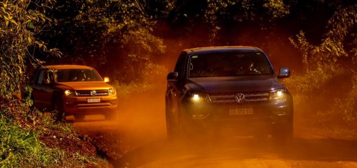amarok experto