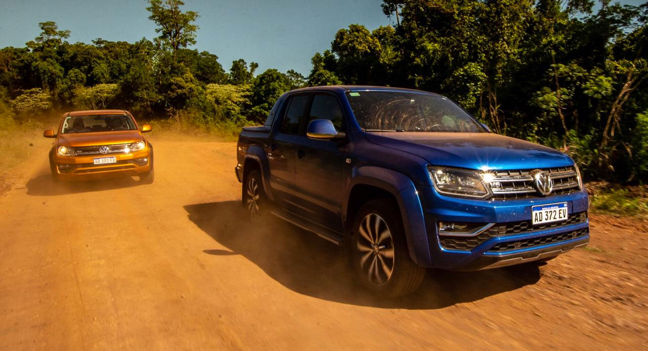 amarok experto