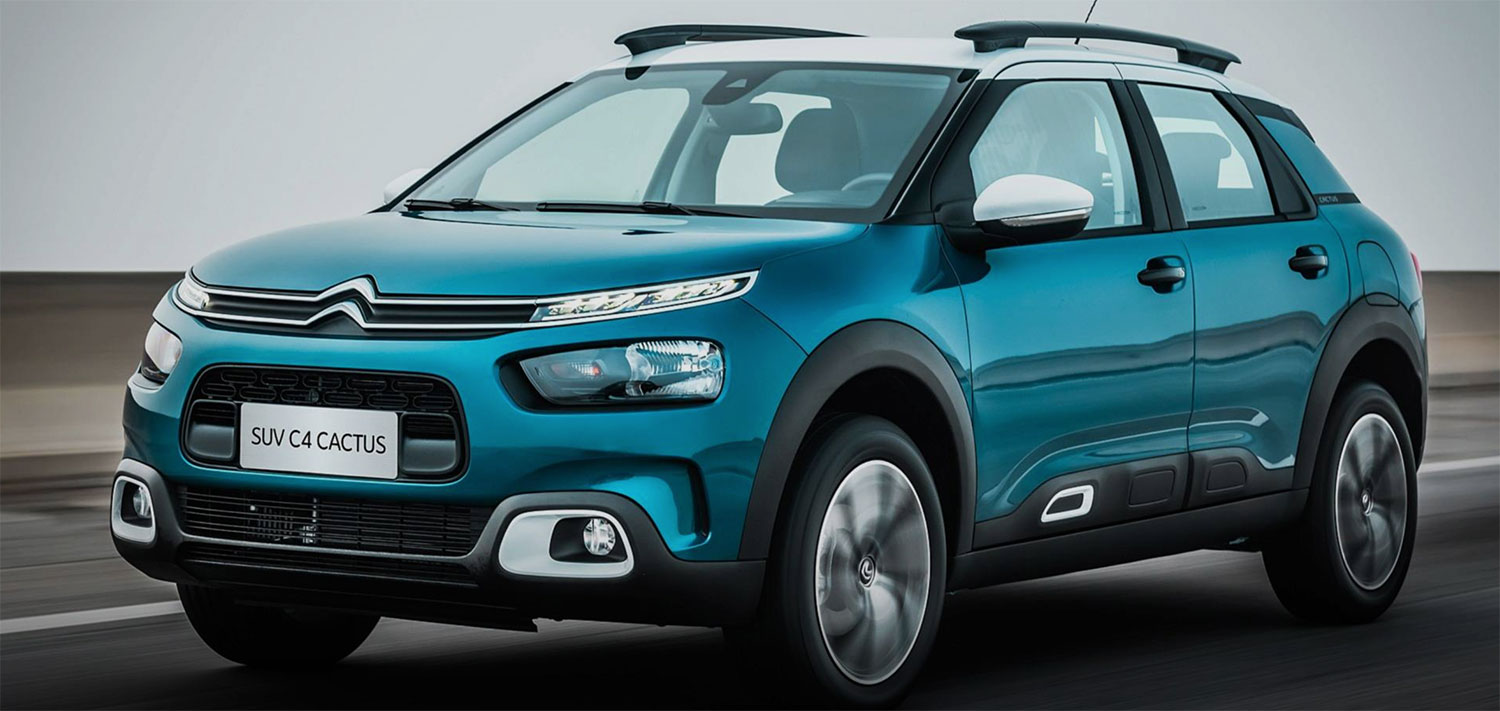 c4 cactus