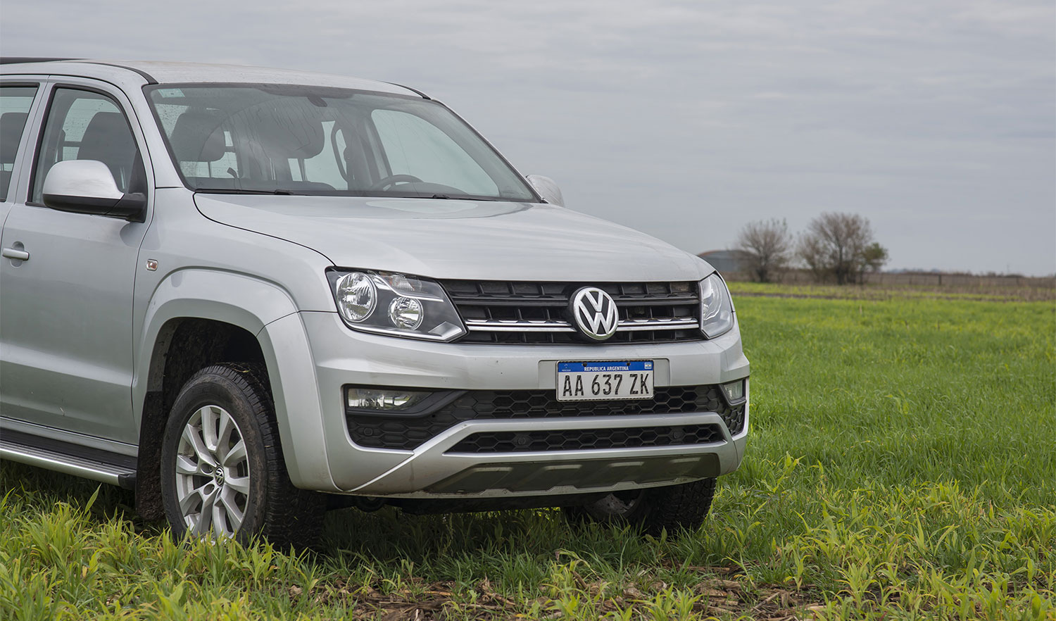 amarok